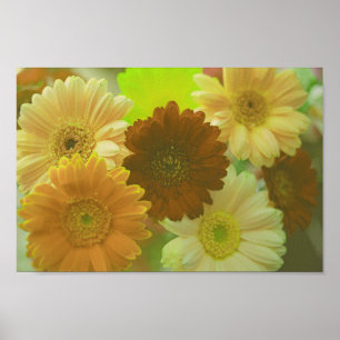Poster Gerbera Jaune Fleurs de marguerite Mur Art Imprime