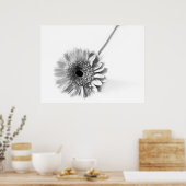 Poster Gerbera marguerite (Cuisine)