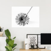Poster Gerbera marguerite (Bureau à domicile)