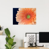 Poster Gerbera pêche (Bureau à domicile)
