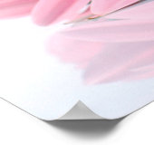 Poster Gerbera Rose Daisies Élégante Photographie (Coin)