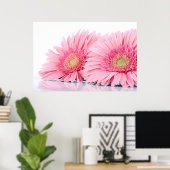Poster Gerbera Rose Daisies Élégante Photographie (Bureau à domicile)