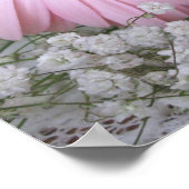 Poster Gerberas rose (Coin)