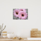Poster Gerberas rose (Cuisine)