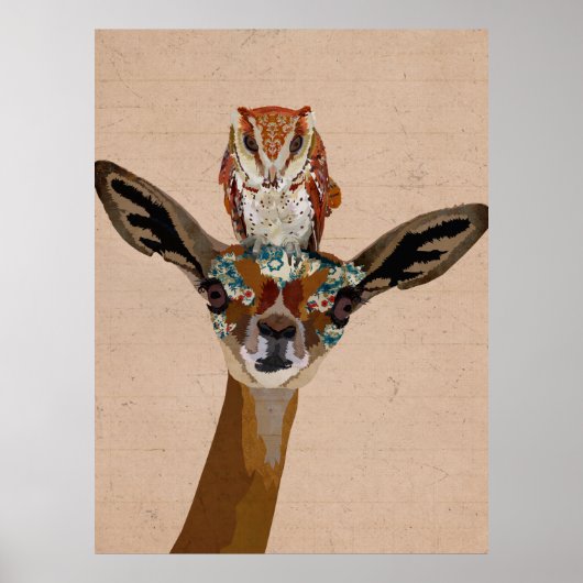 POSTER GERENUK & OWL (Devant)