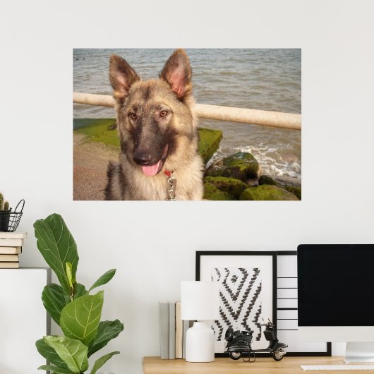 Poster German Shepherd (Thuiskantoor)