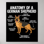 Poster German Shepherd  (Devant)