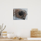 Poster German Shepherd in the Snow glimlachen (Keuken)