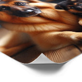 Poster German Shepherd maman et son chiot (Coin)