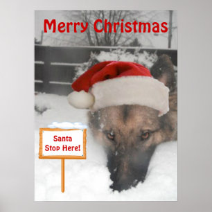 Poster German Shepherd Père Noël Stop Here Sign