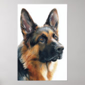 Poster German shepherd portrait watercolor (Devant)