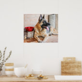Poster German Shepherd Resting (Cuisine)