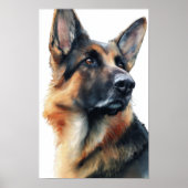Poster German shepherd turns his head watercolor (Devant)