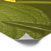 Poster germes de la Bible de paix verset Jacques 3:17-18 (Coin)