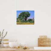 Poster Gérôme - Étude de palmiers (Cuisine)