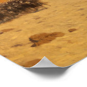 Poster Gérôme - Le Golfe D'Aqaba 1897 (Coin)