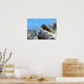 Poster Gérôme - Lion À La Veille (Cuisine)