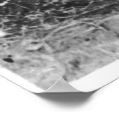 Poster Geronimo [1886] (Coin)