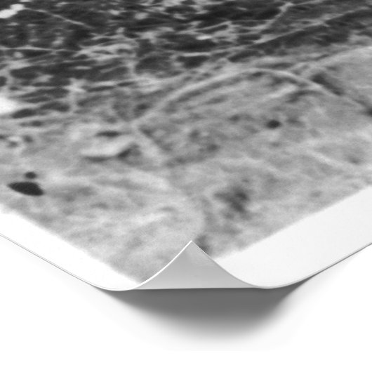 Poster Geronimo [1886] (Coin)