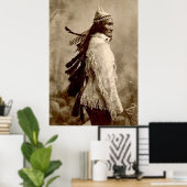 Poster Geronimo 1904 (Bureau à domicile)