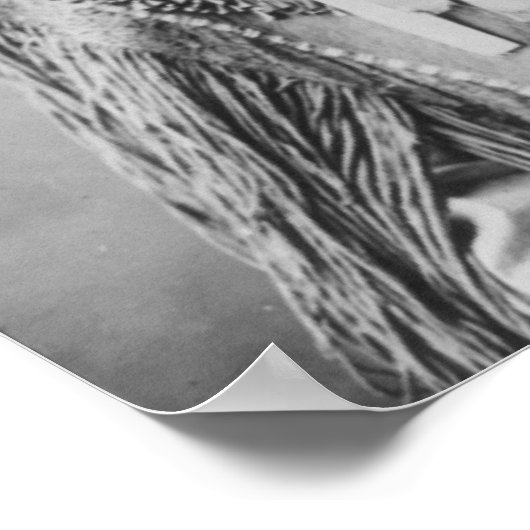 Poster 'Geronimo avec coiffure' (Coin)