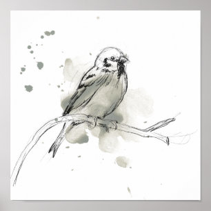 Poster Gestural Bird Study