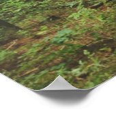 Poster Get Lost (1.0) (Coin)