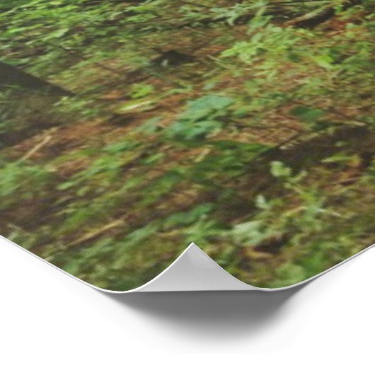 Poster Get Lost (1.0) (Coin)