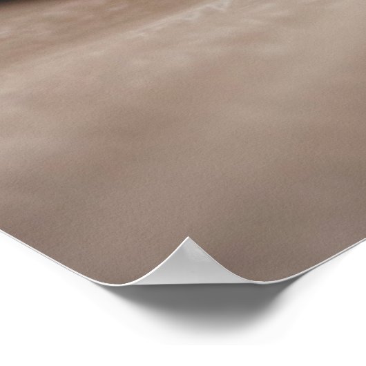 Poster Getty Images | (Coin)