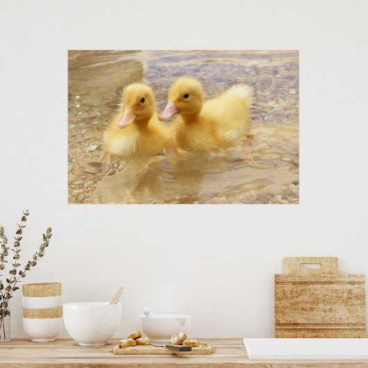 Poster Getty Images | Fuzzy Yellow Ducklings (Cuisine)