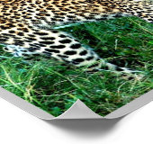 Poster GHEPARD Delta de l'Okavango - (Coin)