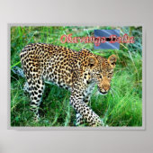 Poster GHEPARD Delta de l'Okavango - (Devant)