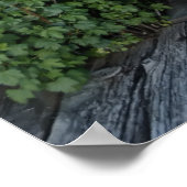 Poster Ghost Town Outhouse - Montana (Coin)