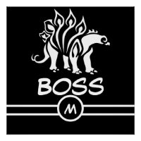 Ghost White Stegosaurus Spirit Dinosaur