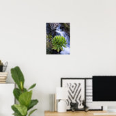 Poster Giant Groundsel ou Dendrosenecio 2 (Bureau à domicile)
