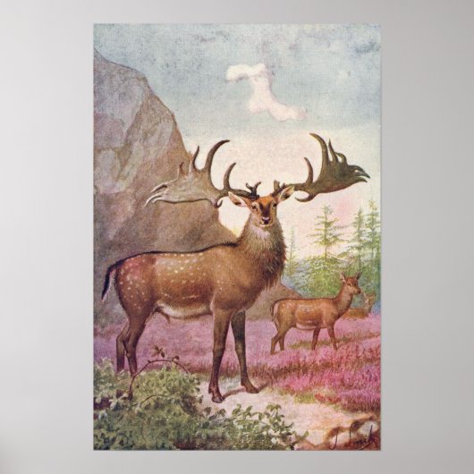 Poster Giant Irish Deer Animaux préhistoriques Imprimer (Devant)