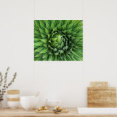 Poster Giant Lobelia | Mount Kenya National Park, Kenya (Cuisine)