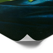 Poster Giant Magnolias on a Blue Velvet Cloth, c.1890 (oi (Coin)