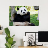 Poster Giant Panda assis (Bureau à domicile)