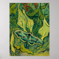 Giant Peacock Moth, 1889 par Vincent van Gogh
