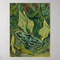 Giant Peacock Moth Vincent van Gogh 1889