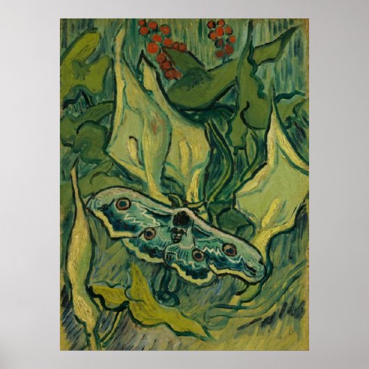 Poster Giant Peacock Moth Vincent van Gogh 1889 (Devant)