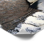 Poster Giant Tortoise (Coin)