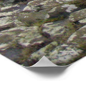 Poster Giants Causeway Irlande du Nord (Coin)