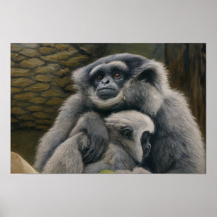 Poster Gibbon Shelter - Emotional Wildlife Portrait