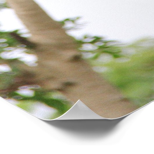 Poster Gibbon Swing from Tree (Coin)