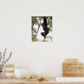 Poster Gibbon Swing from Tree (Cuisine)