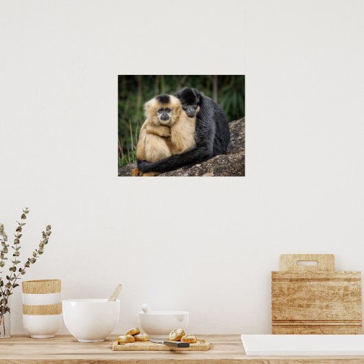 Poster Gibbons (Cuisine)