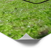 Poster Gibbs Hill Lighthouse Park (Coin)