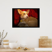 Poster GiGi (Cuisine)